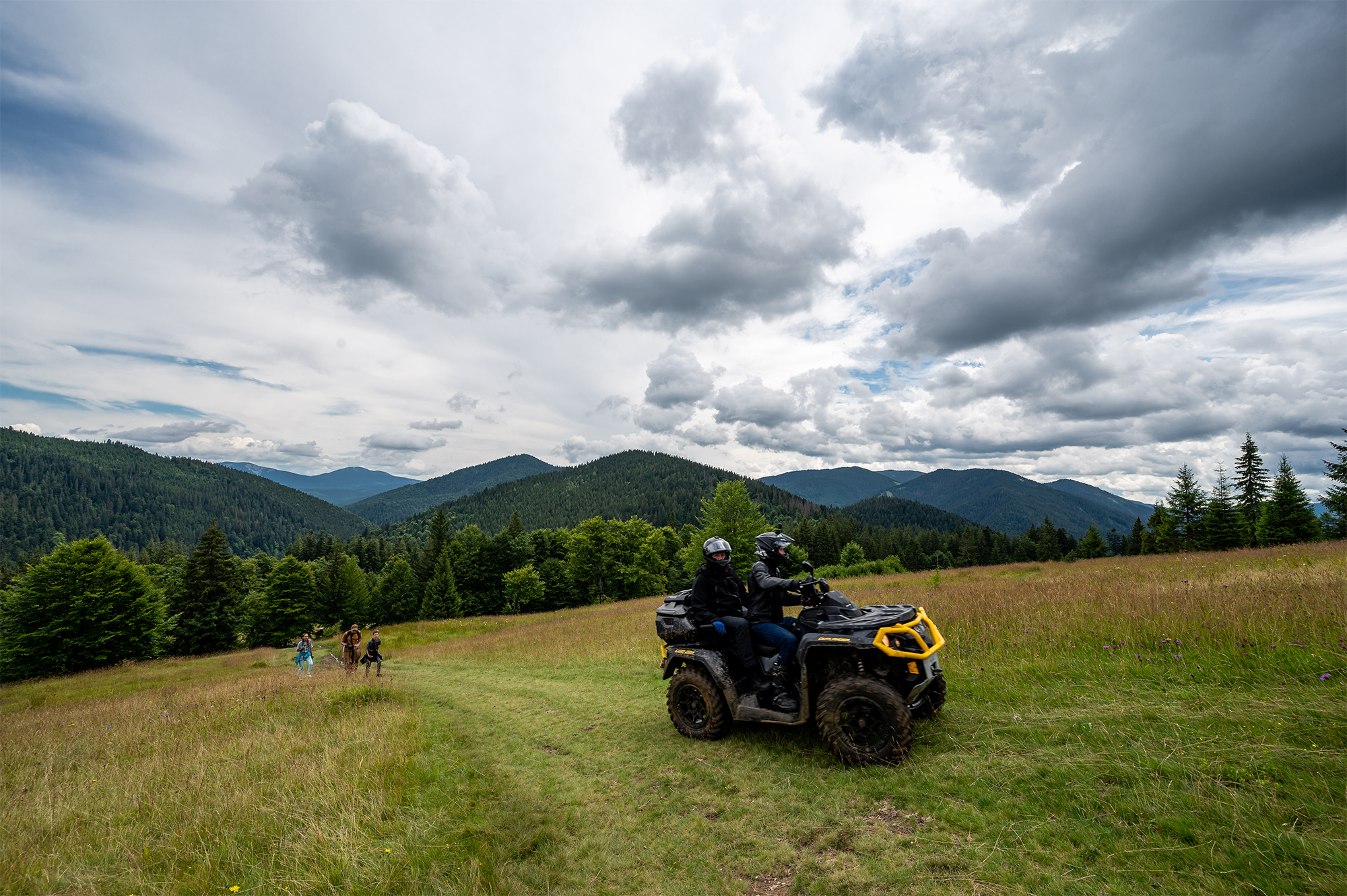 Тварини тікають, а праліси забудовують: що насправді відбувається в Карпатах під час війни